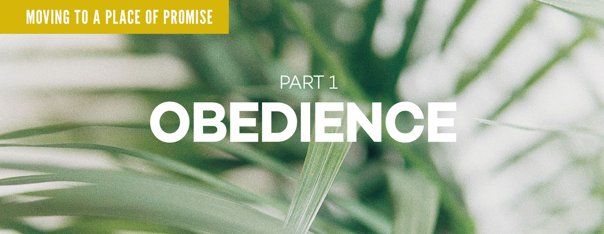 Part 1, Obedience