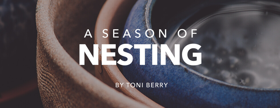 A Season of Nesting by Toni Berry