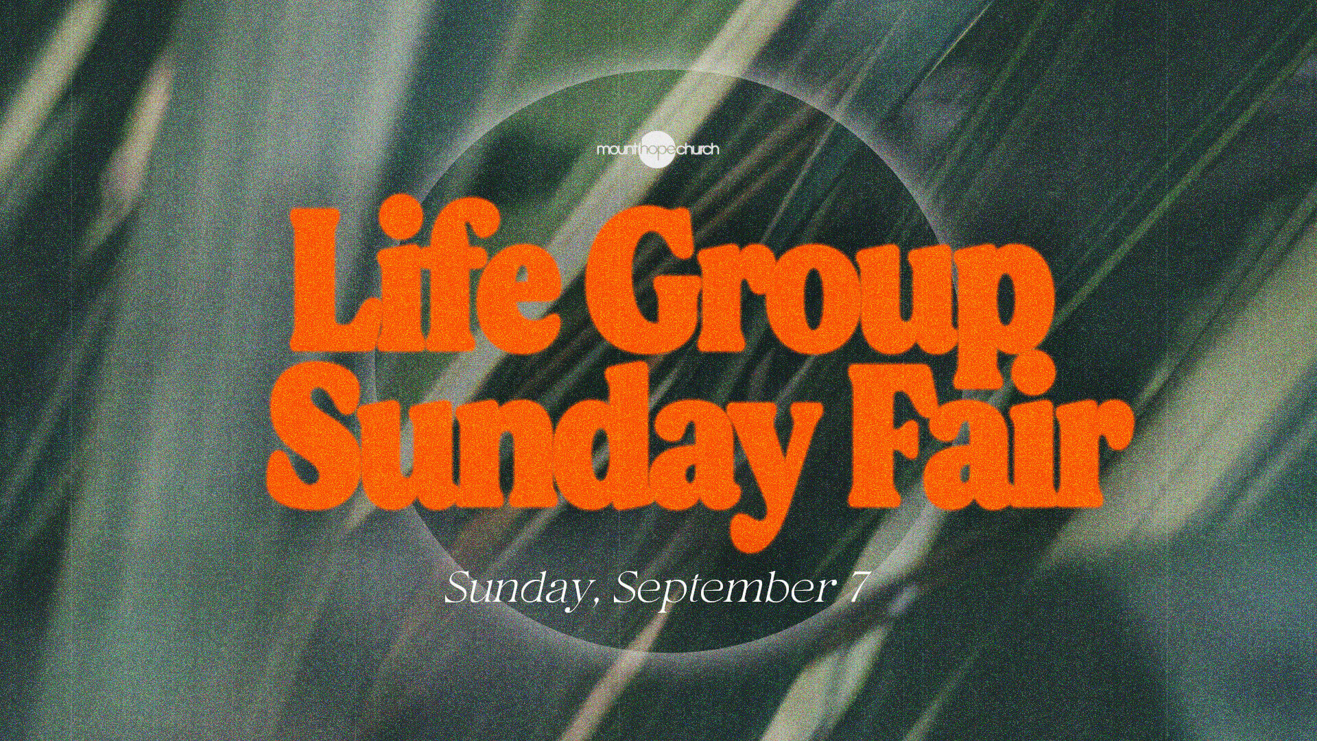 Life Group Sunday Fair on September 7
